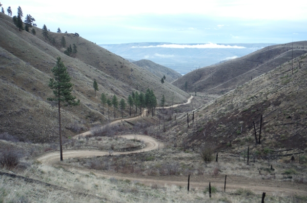 Oklahoma Gulch 