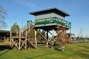 lookout 