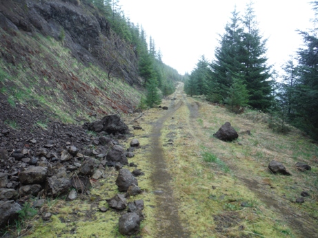 logging roads