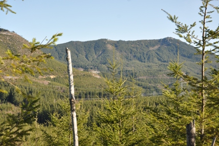 cougar mountain