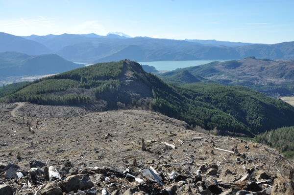 riffe lake