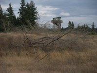 Nisqually Lookout