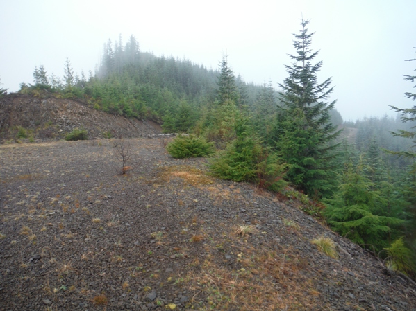 logging landing