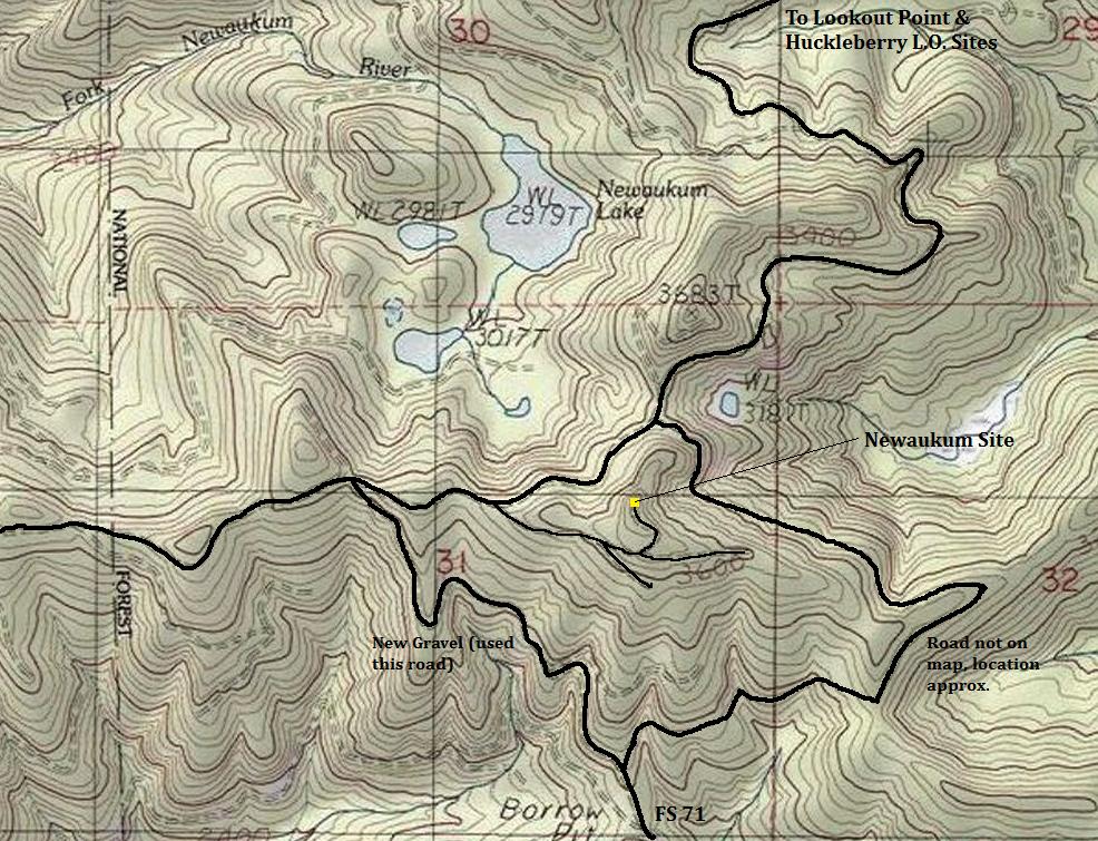 newaukum topo map
