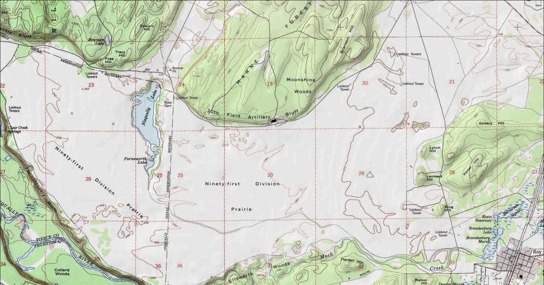nisqually lookout map