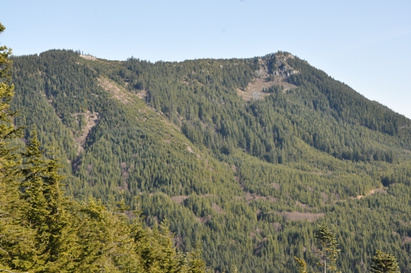 Cougar Mountain