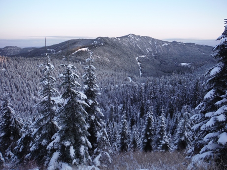 busy wild mountain