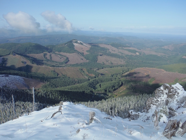 Kapowsin Tree Farm