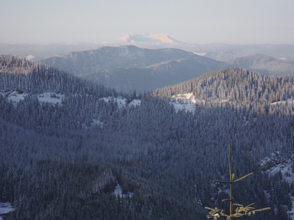 Mount St. Helens