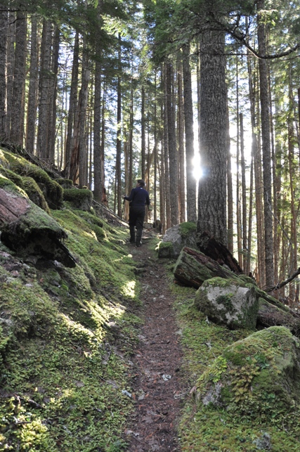 red mountain trail