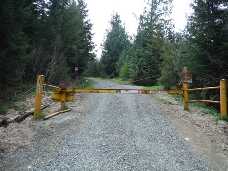 Wilkeson Tree Farm 