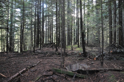 sulphur butte