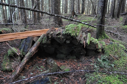 firewood pile