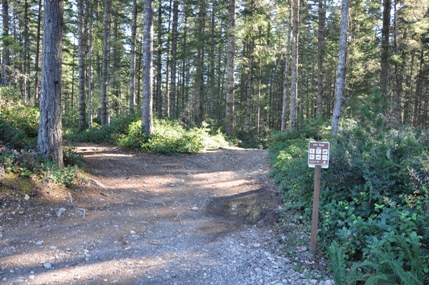 tahuya trails