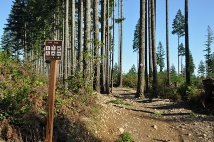 Tahuya Lookout - Images & Map