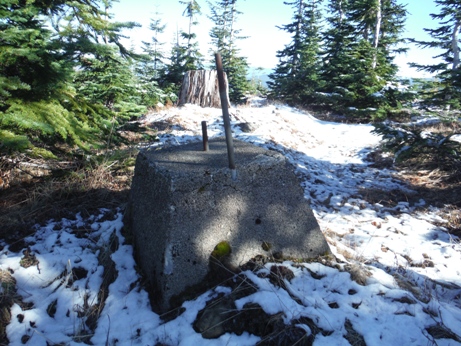 ted gilbert lookout