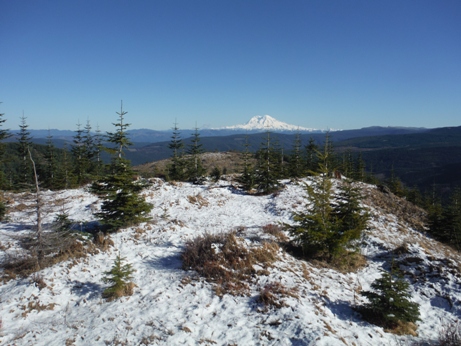 Mt. Rainier 