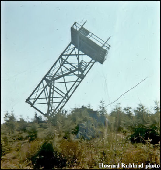 ted gilbert lookout