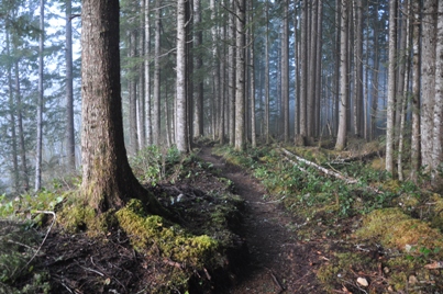 white chuck bench trail