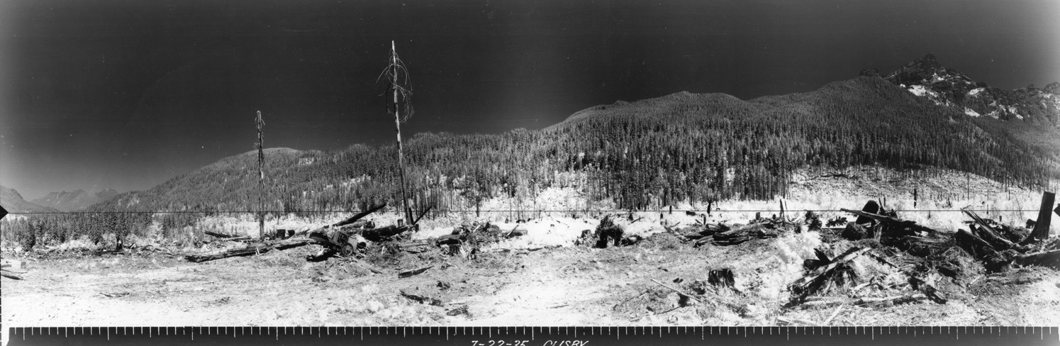 whitechuck bench lookout