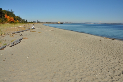 Fort Worden Beach