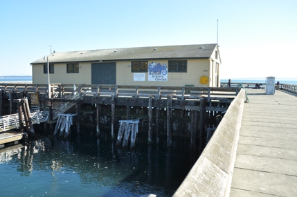 Marine Science Center