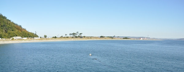 Point Wilson