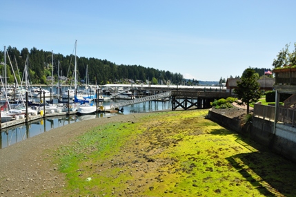 gig harbor piers