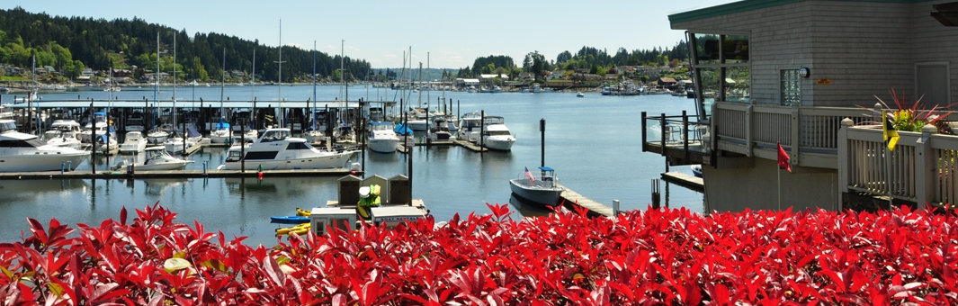 Gig Harbor picture