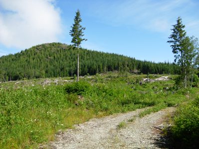 Haystack Mountain 