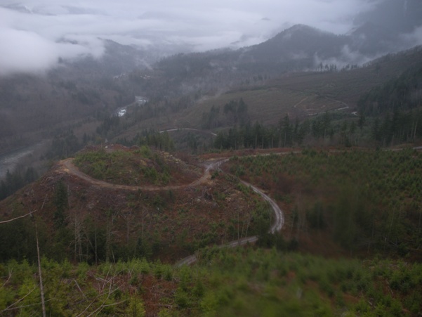 logging roads