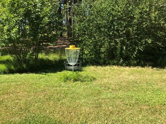 Frisbee Golf