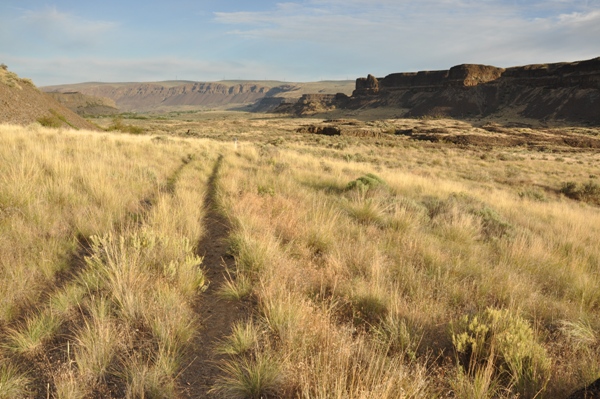 deep lake coulee