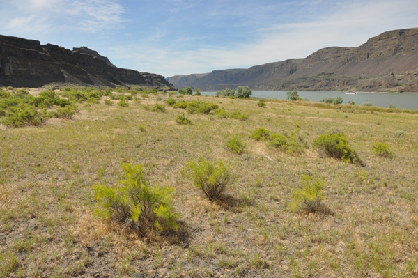 Lake Lenore 