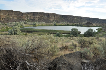 Perch Lake 