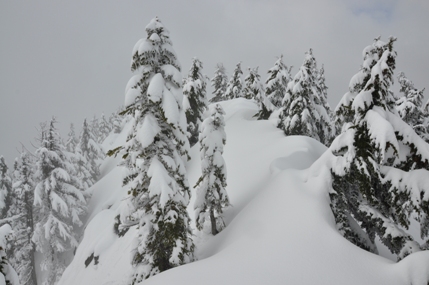 green mountain summit