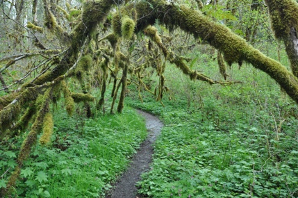 hiking trail