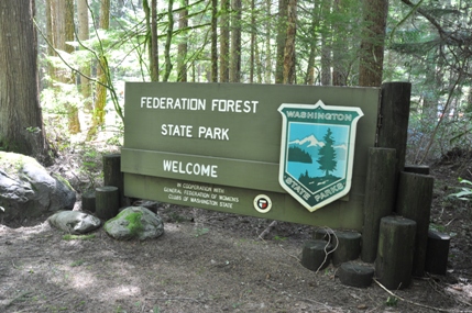 federation forest