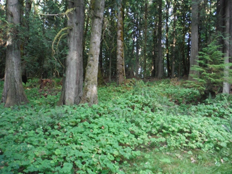 hope island state park
