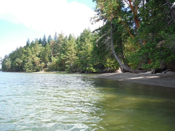 Harstine Island 