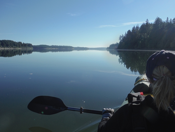 Pickering Passage 