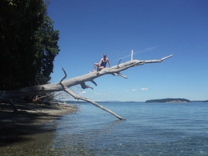 Driftwood 