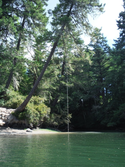 Rope swing 