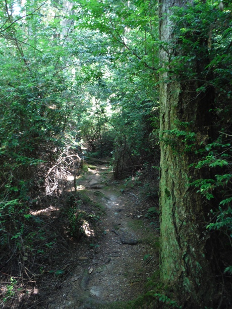 Hiking trail