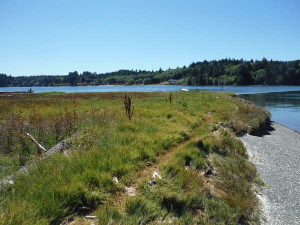 mcmicken island wa