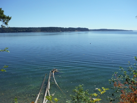 mcmicken island state park