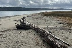 Anderson Point 