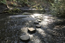 Boeing Creek Loop