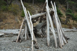 Cama Beach State Park