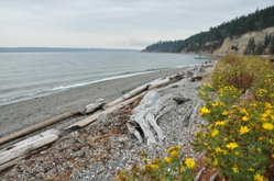 Camano Island State Park